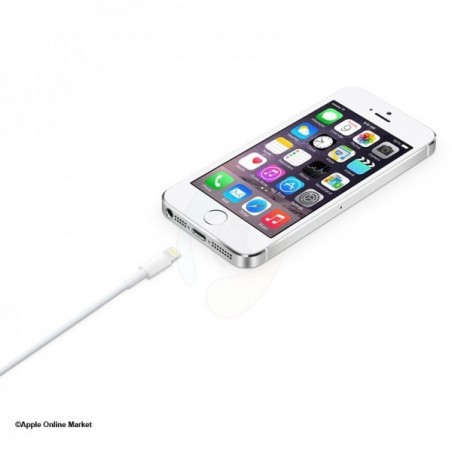 کابل اوریجینال Apple Lightning to USB Cable