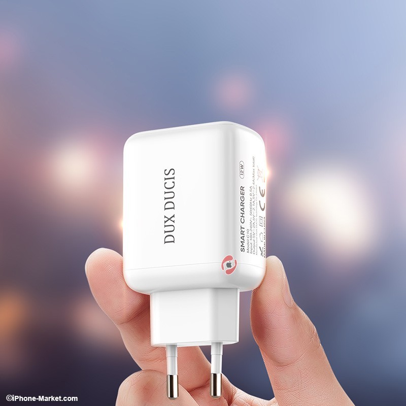 Dux Ducis C10 12W Fast Charger