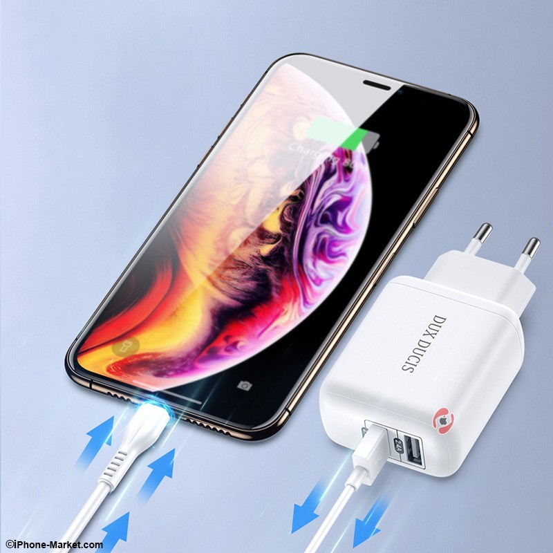 Dux Ducis C10 12W Fast Charger