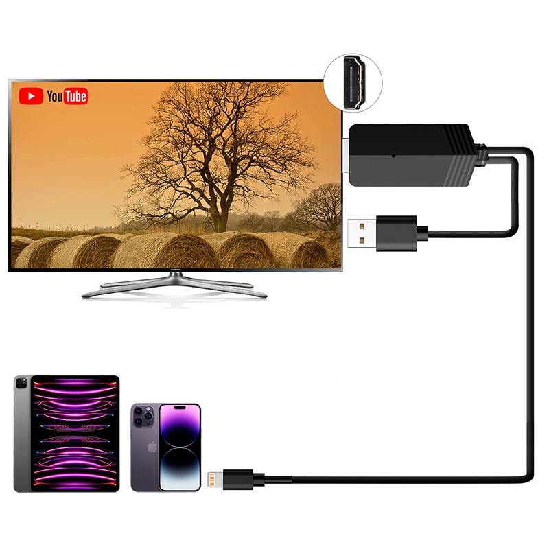 Mirascreen LD22 HDMI Lightning Cable